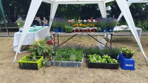 Garden Party Plant Stall